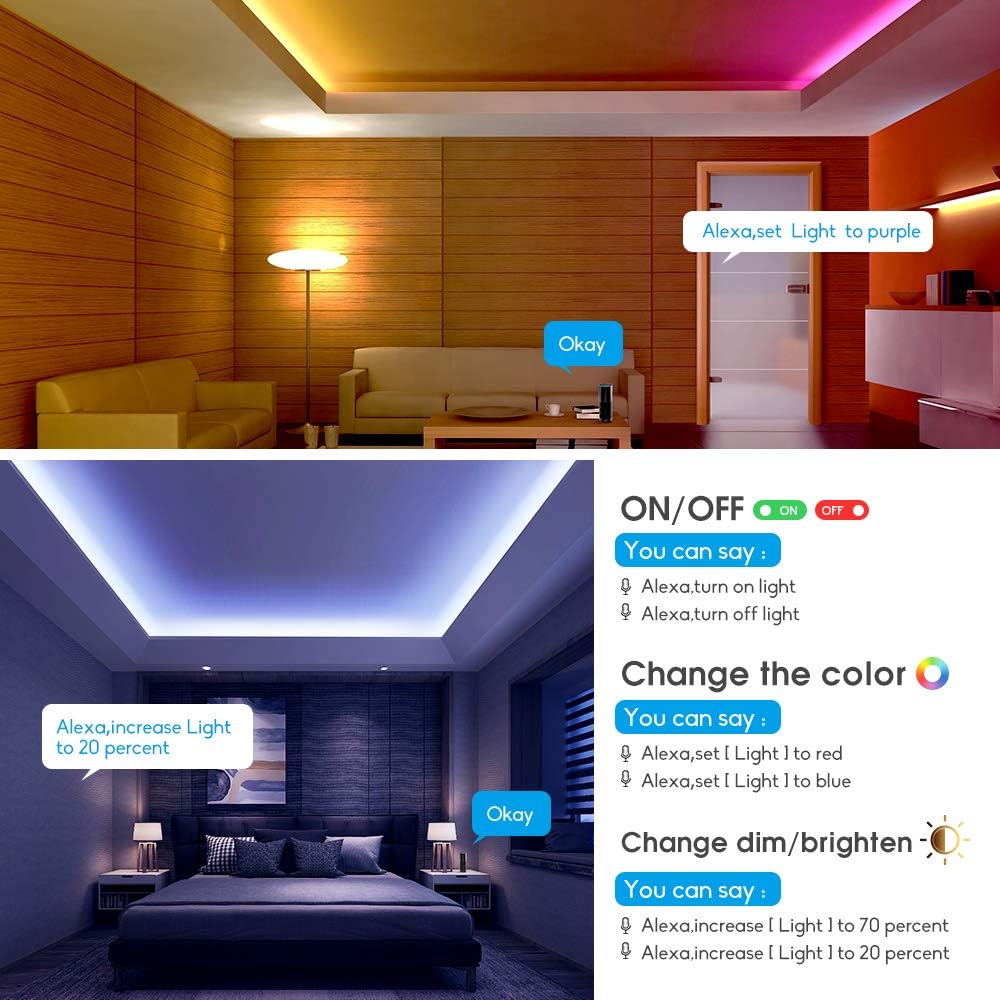 WiFi RGBW LED Controller 2-Output 5 Pin with 24-Key Remote, Compatible with Alexa & Google Assistant, Voice/APP Control Strip Lights for Android/iOS System(WiFi LED Controller)